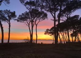Tramonto dal Beachrock con vista dell'isola d'Elba