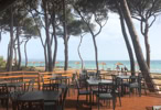 beachrock ristorante bar sotto la pineta