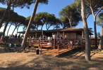 beachrock ristorante bar sotto la pineta
